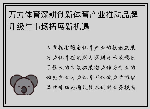 万力体育深耕创新体育产业推动品牌升级与市场拓展新机遇