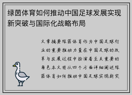 绿茵体育如何推动中国足球发展实现新突破与国际化战略布局